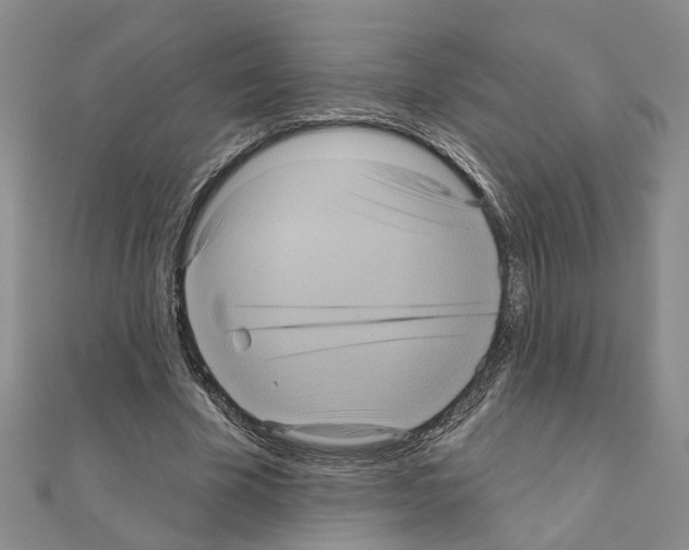 X0000111050585200908061519