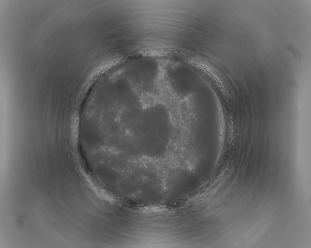 X0000111050586200908061519