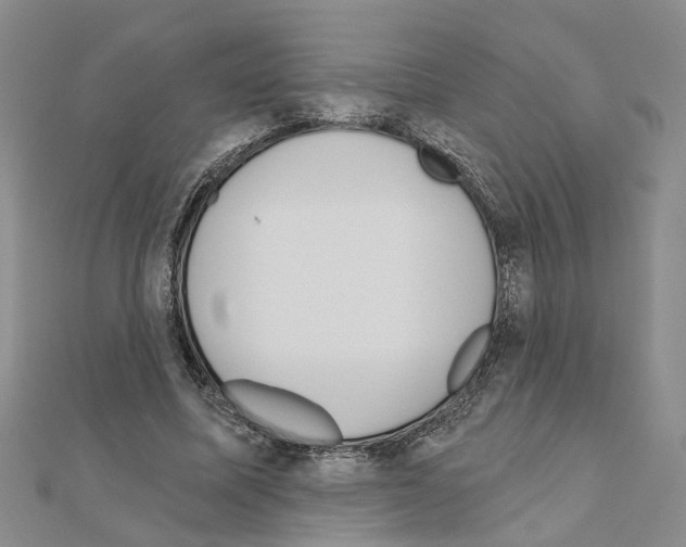 X0000111050587200908061519