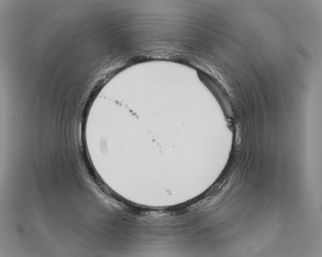 X0000111050589200908061519