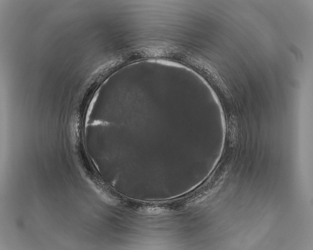 X0000111050590200908061519