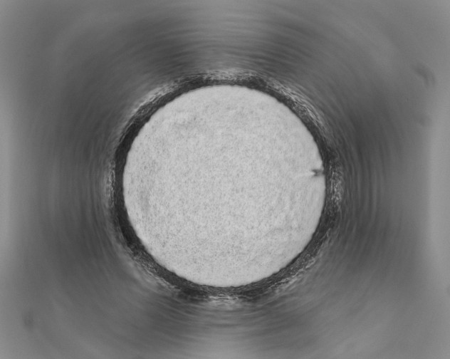 X0000111050591200908061519