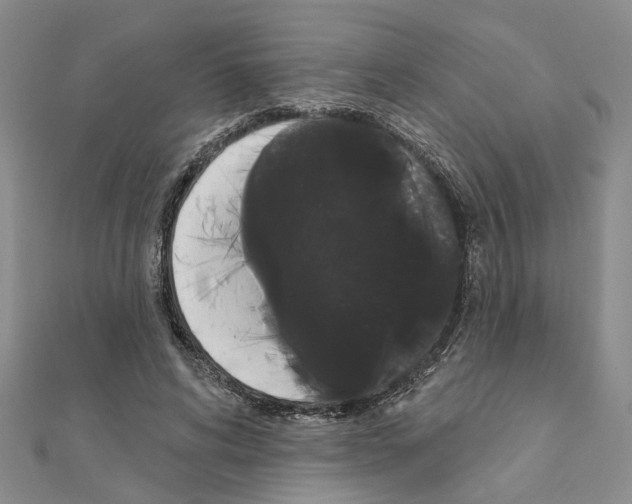 X0000111050592200908061519