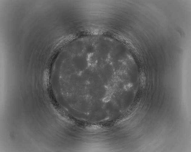 X0000111050594200908061519