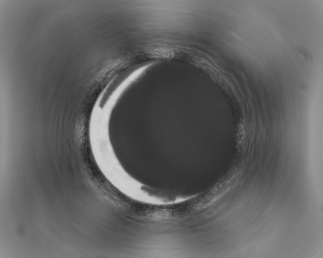 X0000111050600200908061519