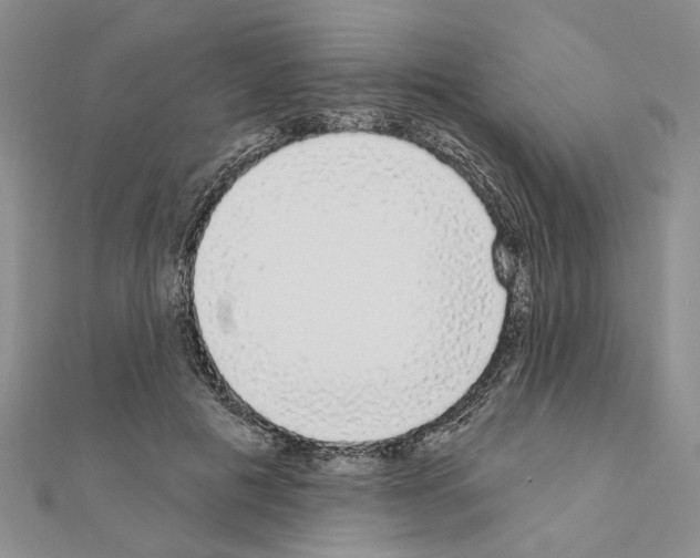 X0000111050601200908061519