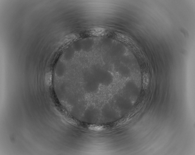 X0000111050602200908061519