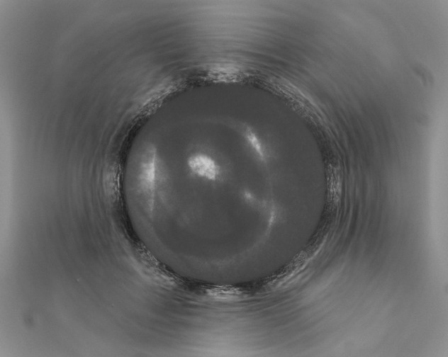 X0000111050603200908061519