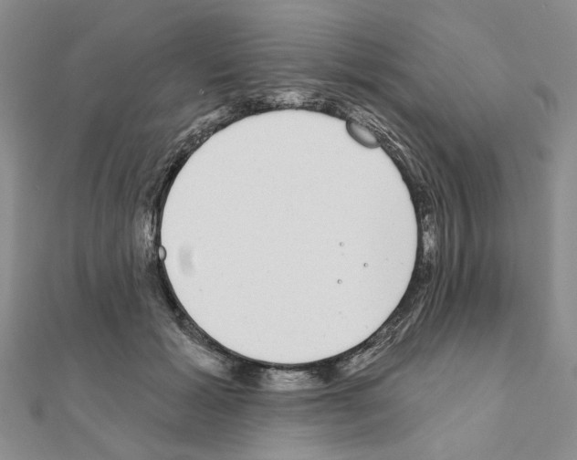 X0000111050605200908061519