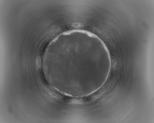 X0000111050606200908061519