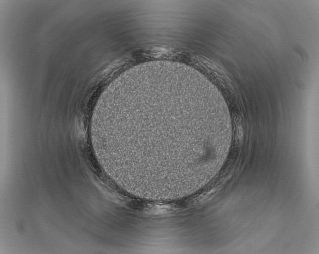 X0000111050607200908061519