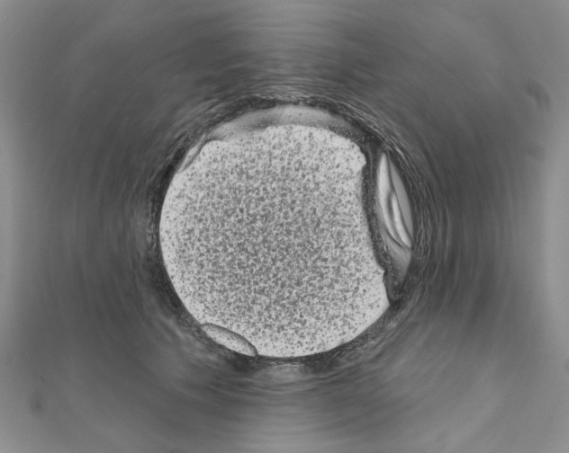 X0000111050609200908061519