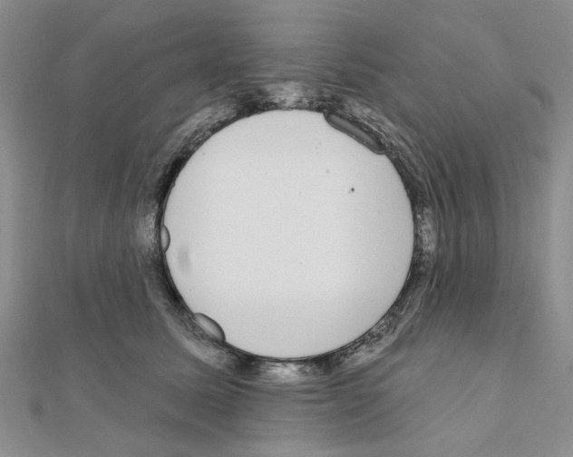 X0000111050611200908061519