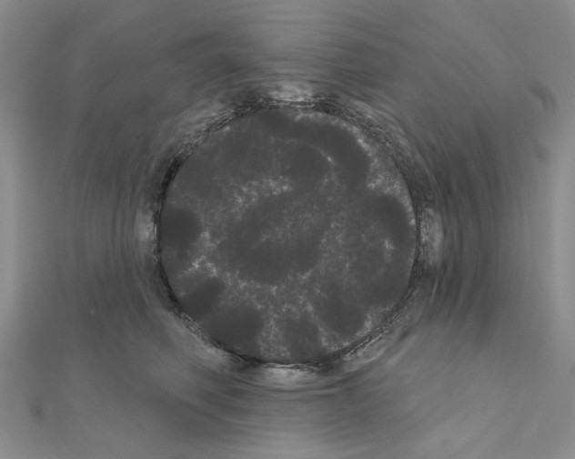 X0000111050614200908061519