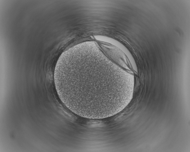 X0000111050617200908061519