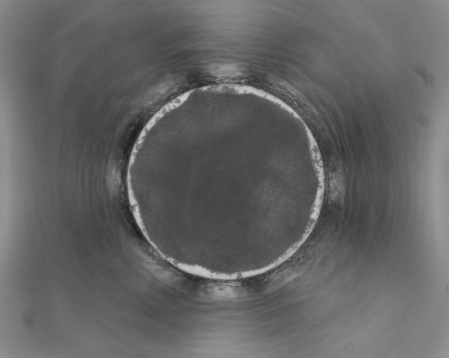 X0000111050618200908061519