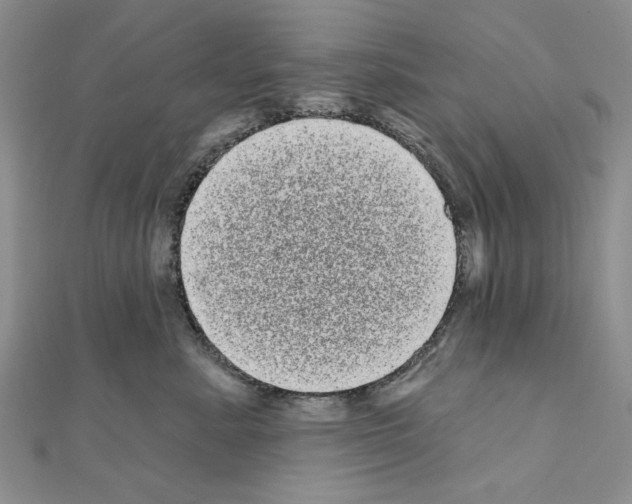 X0000111050619200908061519