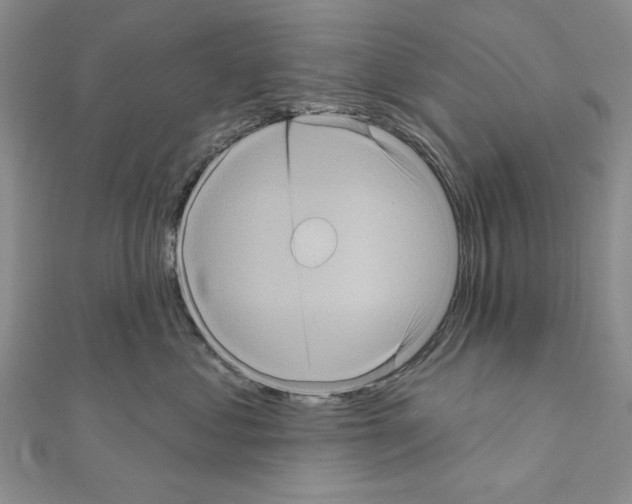 X0000111050621200908061519