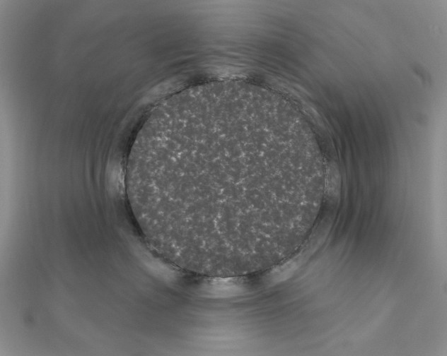 X0000111050622200908061519