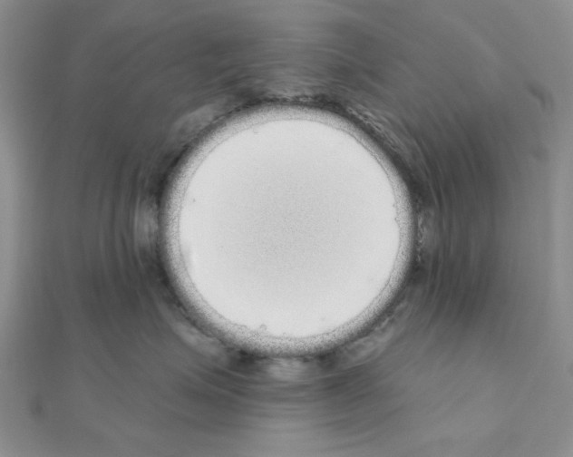 X0000111050623200908061519