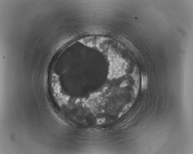 X0000111050627200908061518