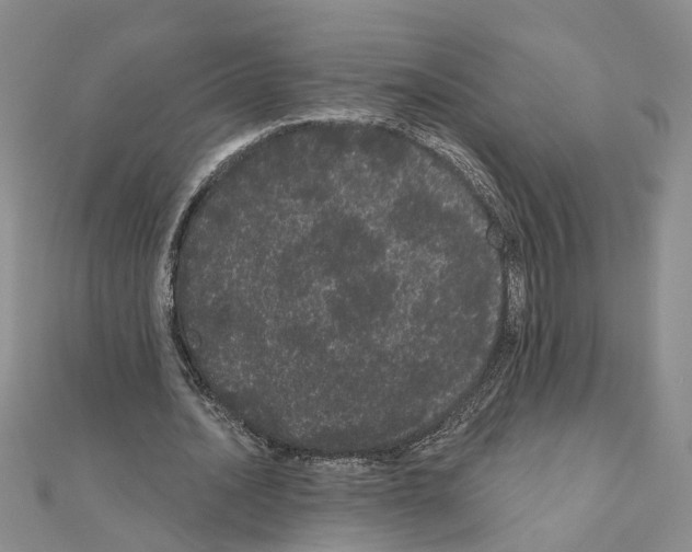 X0000111050628200908061518