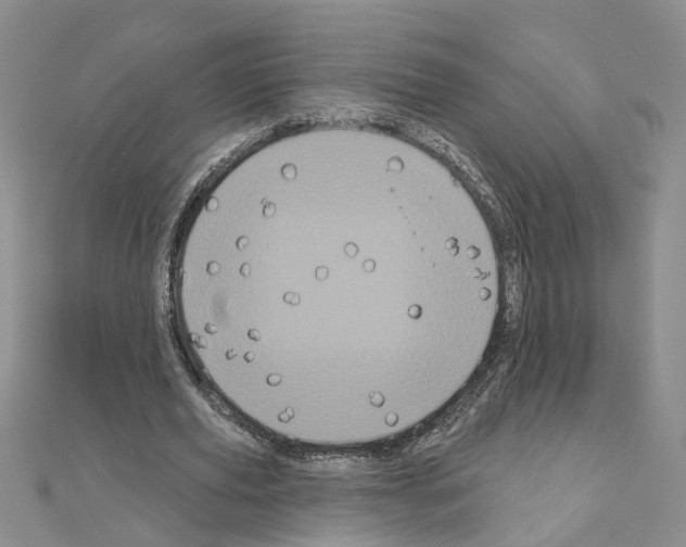 X0000111050629200908061518