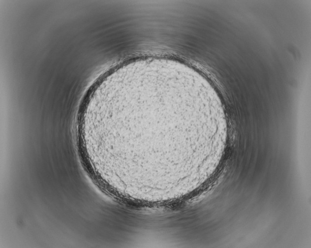 X0000111050630200908061518