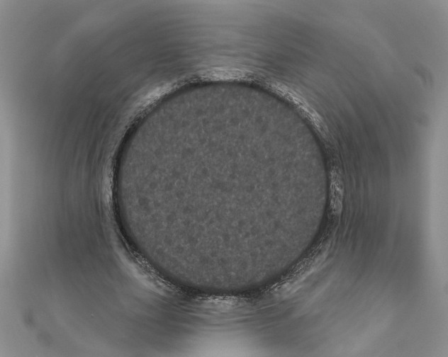 X0000111050631200908061518