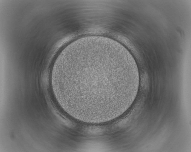 X0000111050632200908061518