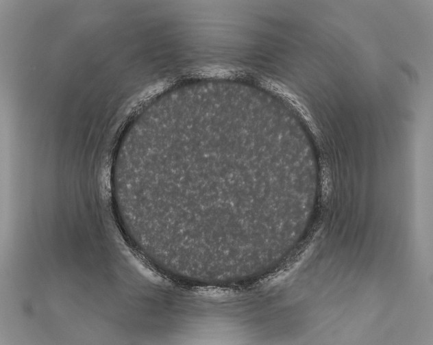 X0000111050633200908061518