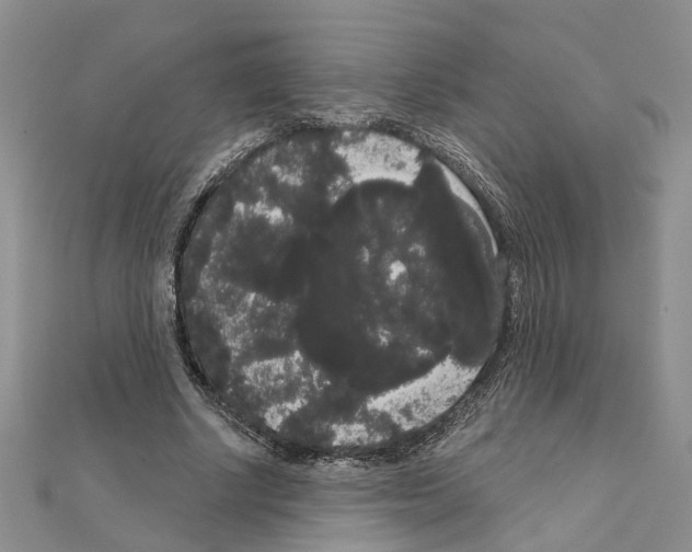 X0000111050634200908061518