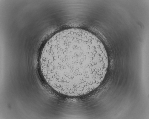 X0000111050635200908061518