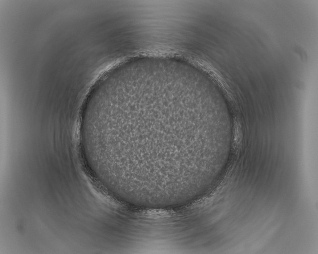 X0000111050636200908061518