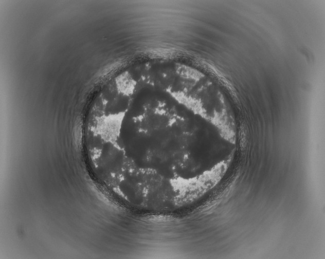 X0000111050637200908061518