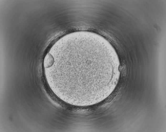 X0000111050638200908061518