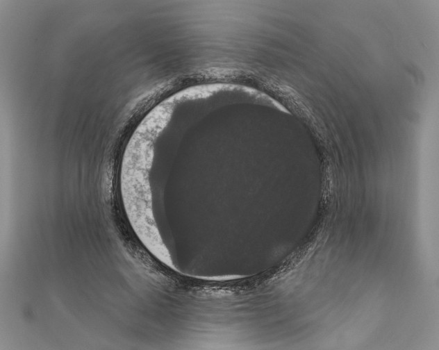 X0000111050640200908061518