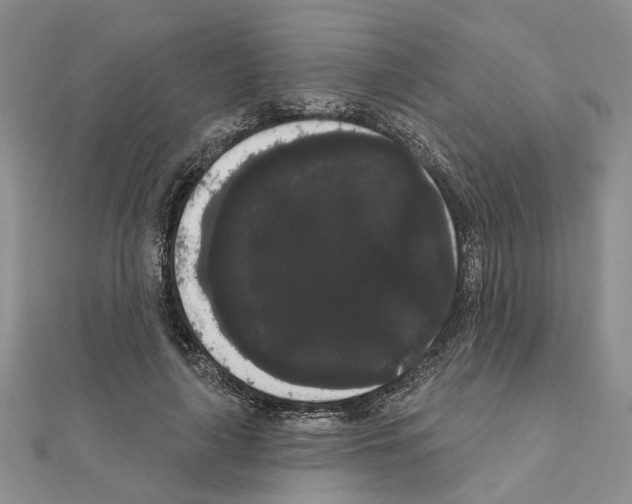 X0000111050643200908061518