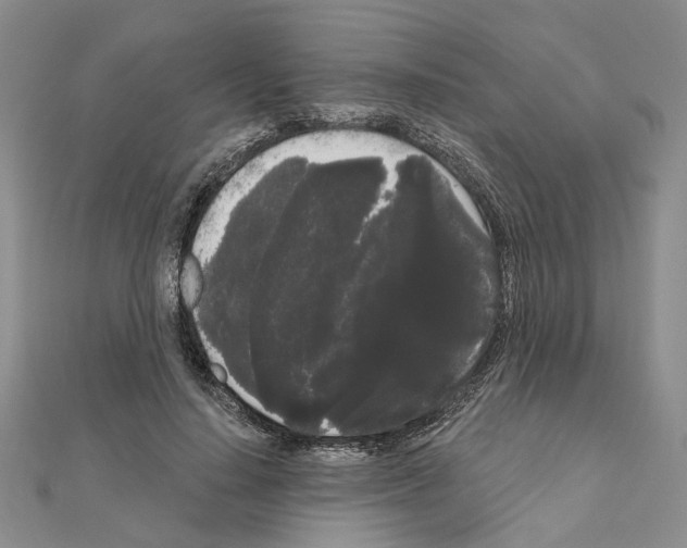 X0000111050644200908061518