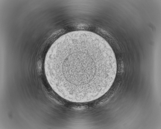 X0000111050646200908061518