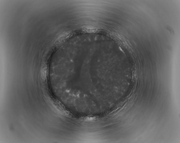 X0000111050647200908061518