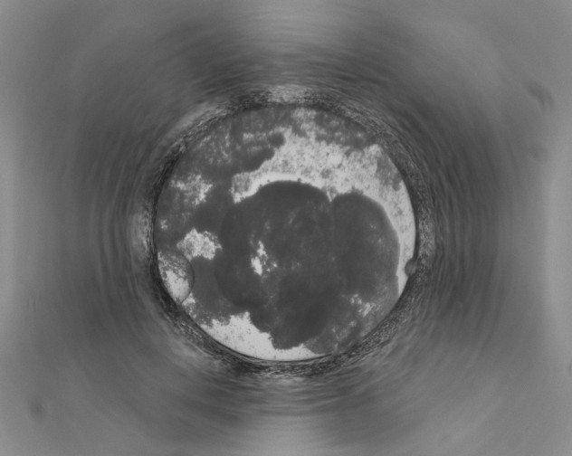 X0000111050648200908061518