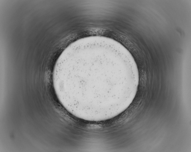 X0000111050649200908061518