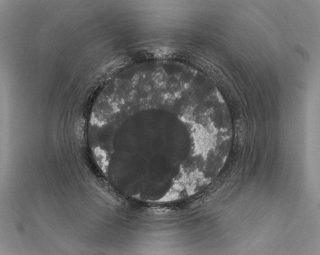 X0000111050650200908061518