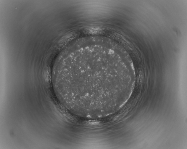 X0000111050651200908061518