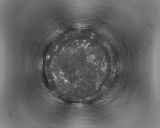 X0000111050652200908061518