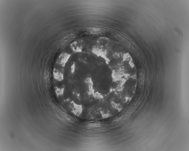 X0000111050653200908061518