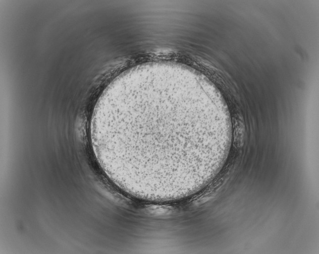 X0000111050654200908061518