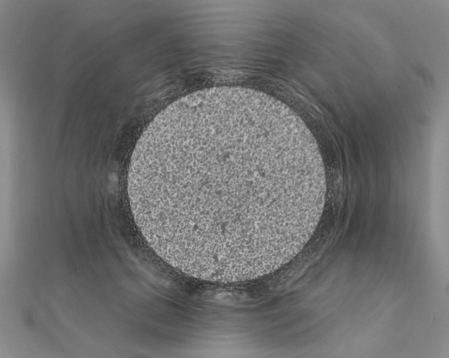 X0000111050655200908061518