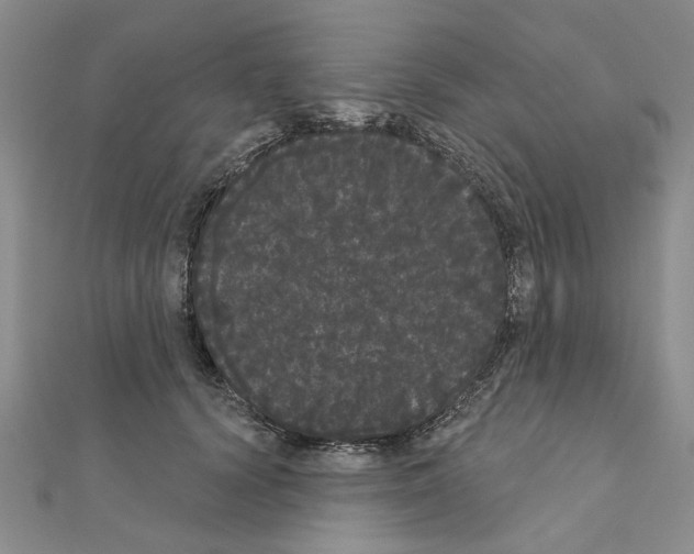 X0000111050656200908061518